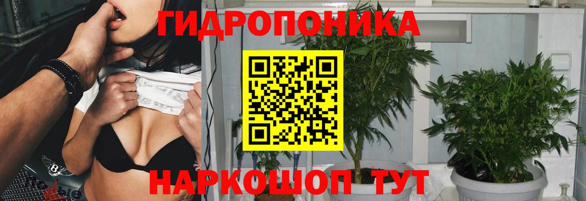 Каннабис конопля Орск